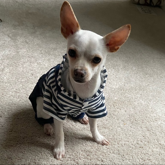 Meet your Posher, Samar - Picture 1 of 1